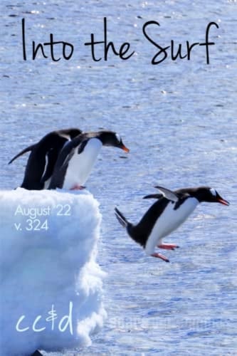 Into the Surf: 8/22 cc&d, v324