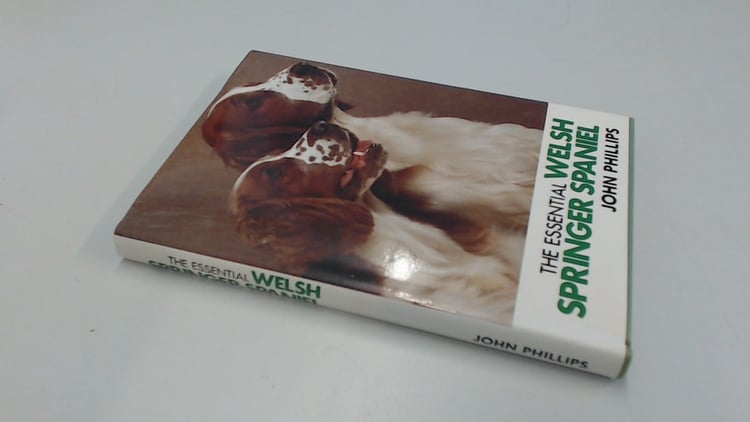 The Essential Welsh Springer Spaniel