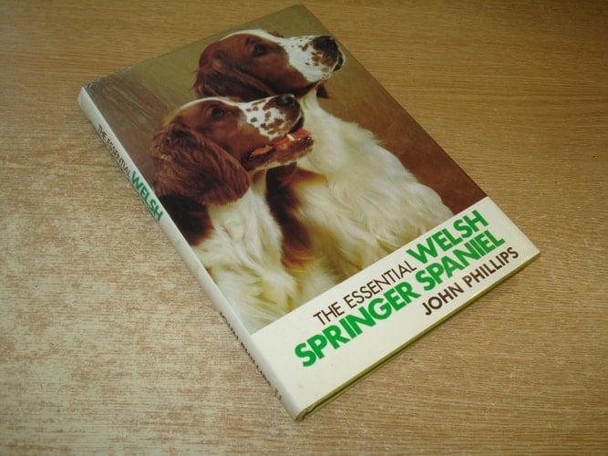 The Essential Welsh Springer Spaniel