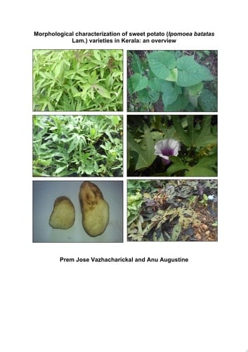 Morphological characterization of sweet potato (Ipomoea batatas Lam.) varieties in Kerala: an overview