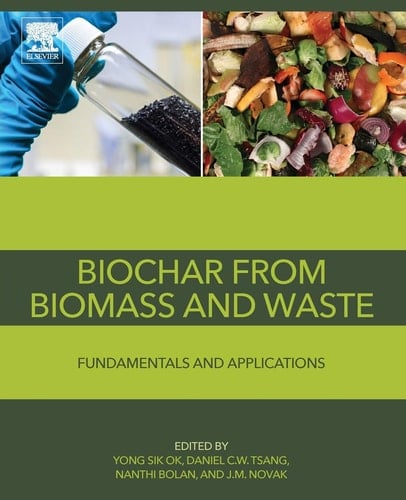 Biochar from Biomass and Waste Fundamentals and Applications