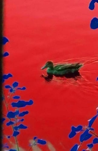 Super Team Self Help