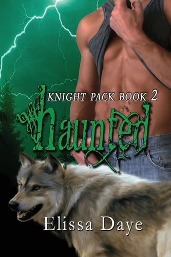 Haunted Knight Pack Book 2