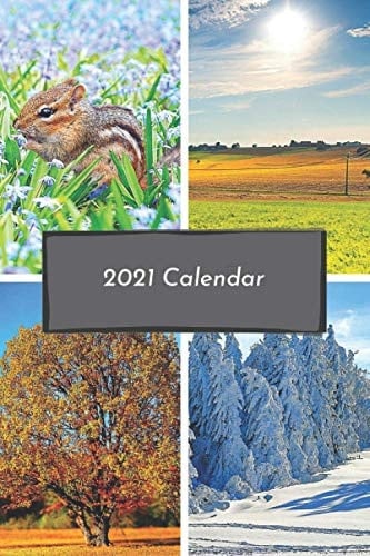 2021 Calendar: 2021 Planner, 6'' x 9'', bleed, colorful cover. (2021 Calendars)
