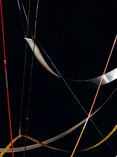 Rainforest V (variation 3)