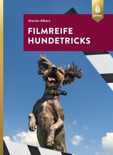 Filmreife Hundetricks Tricktraining - nicht nur für angehende Filmhunde