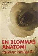 En blommas anatomi växternas hemliga liv