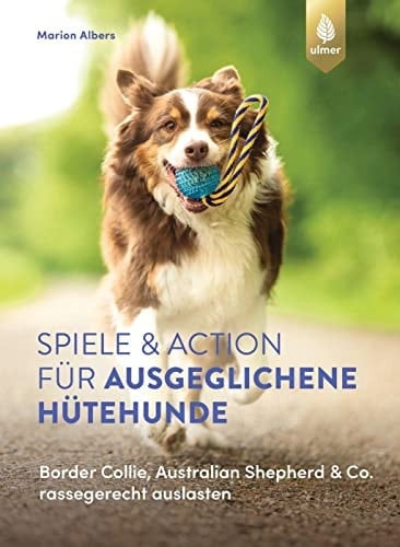 Spiele und Action für ausgeglichene Hütehunde Border Collie, Australian Shepherd und Co. rassegerecht auslasten