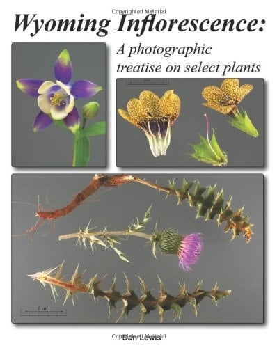 Wyoming Inflorescence A Photographic Treatise on Select Plants