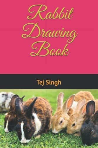 Rabbit Drawing Book