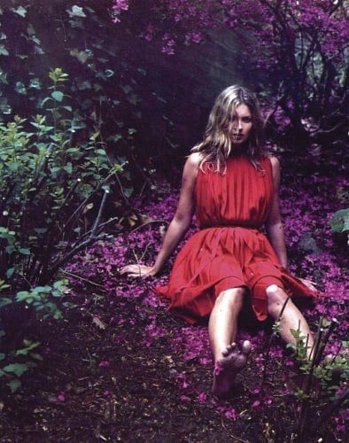 The Regime of Visibility