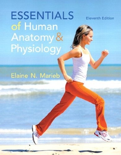 Essentials of Human Anatomy & Physiology (2-downloads)