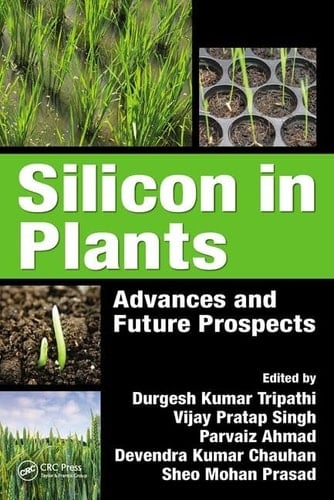 Silicon in Plants Advances and Future Prospects