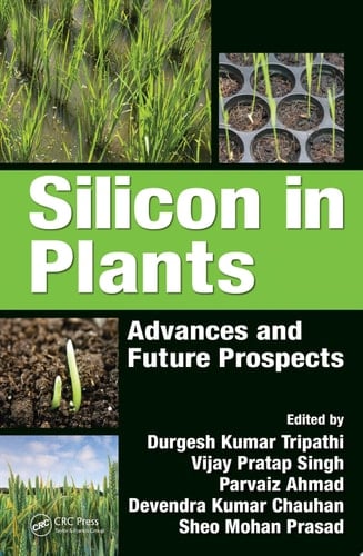Silicon in Plants Advances and Future Prospects