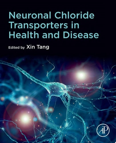 Neuronal Chloride Transporters in Health and Disease