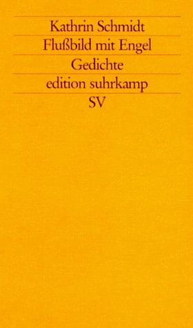 Flussbild mit Engel: Gedichte (Edition Suhrkamp) (German Edition)