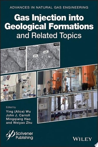 Gas Injection into Geological Formations and Related Topics