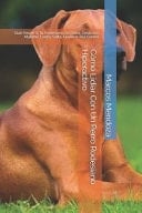 Cómo Lidiar Con Un Perro Rodesiano Hiperactivo Qué Hacer Si Tu Rodesiano Se Orina, Destroza, Muerde, Ladra, Salta, Gruñe o Tira Correa