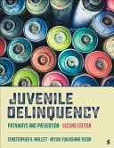 Juvenile Delinquency Pathways and Prevention