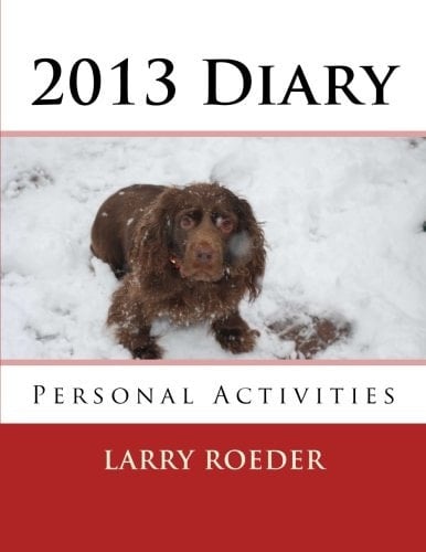 2013 Diary