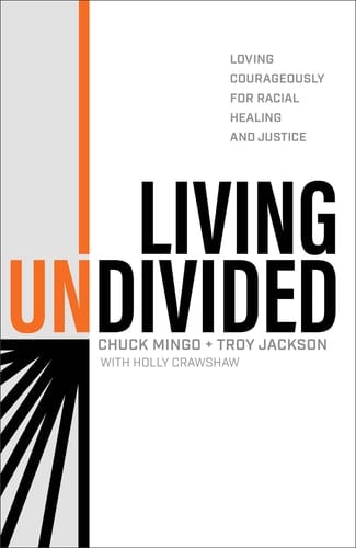 Living Undivided Loving Courageously for Racial Healing and Justice
