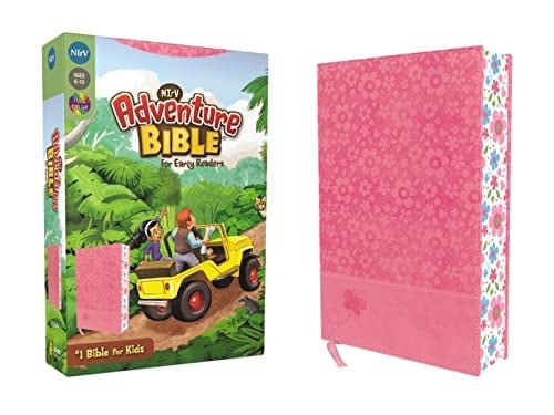 Adventure Bible for Early Readers