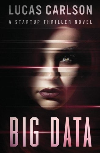 Big Data A Startup Thriller Novel