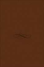 Curso de derecho constitucional