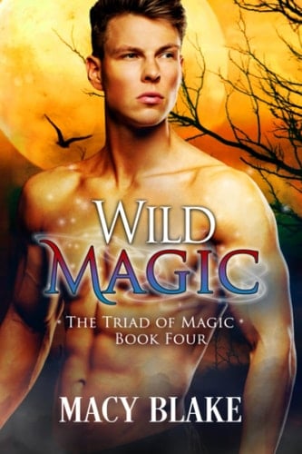 Wild Magic (The Triad of Magic series)