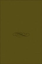 Curso de derecho constitucional