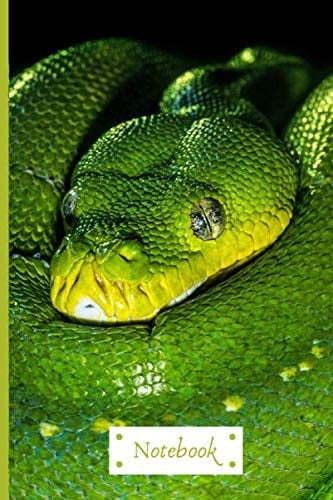 Snake-themed Notebook: Wide-lined, 120 page notebook with positive quote and snake colouring page | fun for older kids and adults, boys or girls, school or home schooled, reptile
