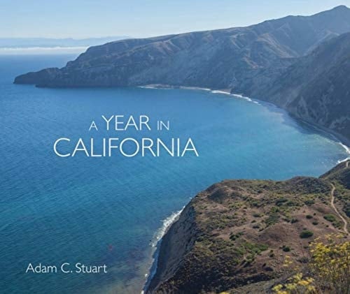 A Year in California