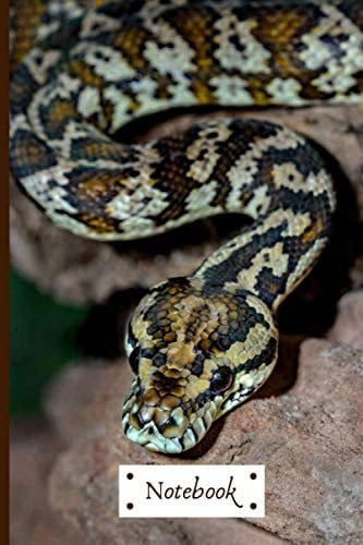 Snake-themed Notebook: Wide-lined, 120 page notebook with positive quote and snake colouring page | fun for older kids and adults, boys or girls, school or home schooled, reptiles