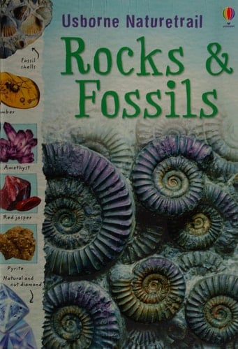Rocks and Fossils