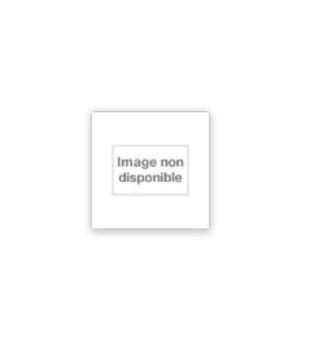 Correspondance à trois (Eté 1926)