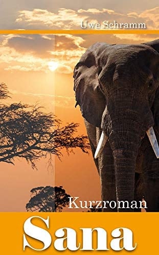 Sana Kurzroman