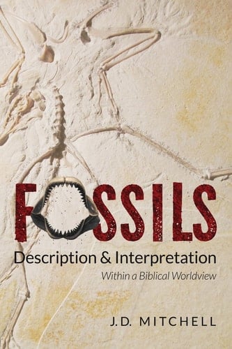 Fossils Description & Interpretation: Within a Biblical Worldview