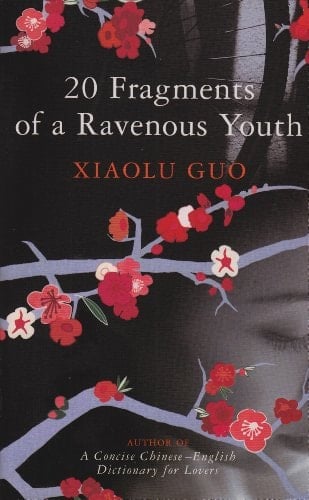 20 Fragments of a Ravenous Youth