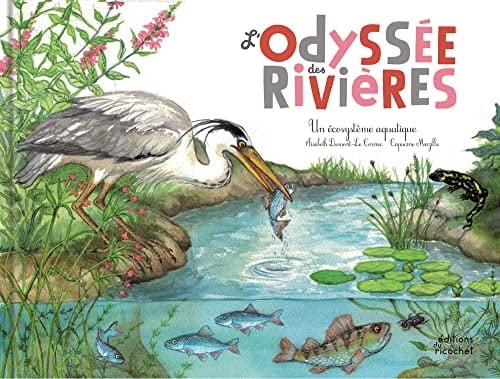 L'Odyssée des rivières : un écosystème aquatique