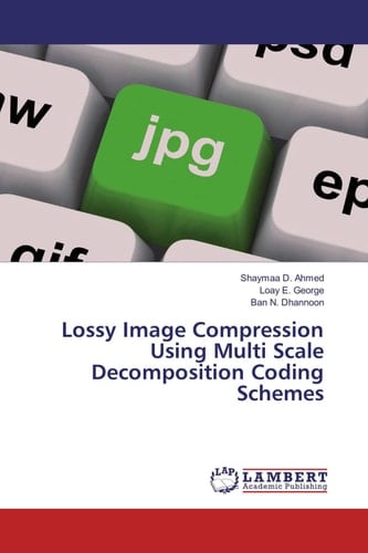 Lossy Image Compression Using Multi Scale Decomposition Coding Schemes