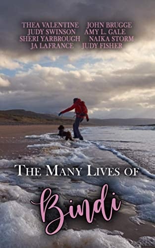 The Many Lives of Bindi: A Charity Anthology