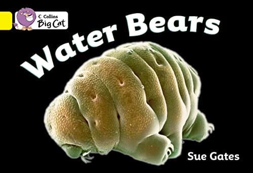 Water Bears Workbook