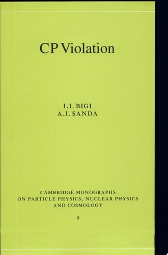 CP Violation