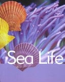 Sea Life