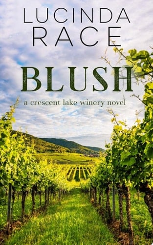 Blush: A Small Town Second Chance Romance A Price Family Romance Novel