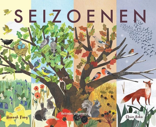 Seizoenen een jaar in de natuur