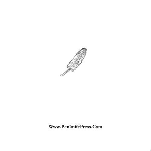 Self-Absorbed A Nude Self-Portrait