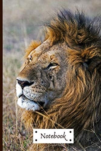 Lion-themed Notebook: Wide-lined, 120 page notebook with positive quote and lion colouring page | fun for older kids and adults, boys or girls, school or home schooled