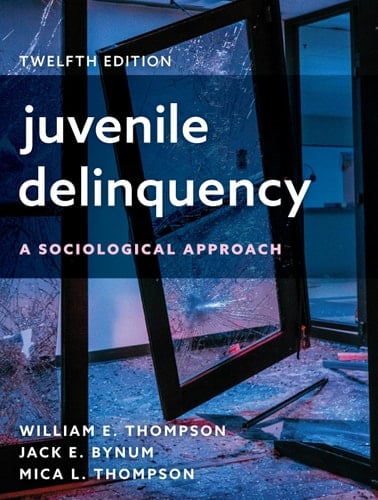 Juvenile Delinquency A Sociological Approach