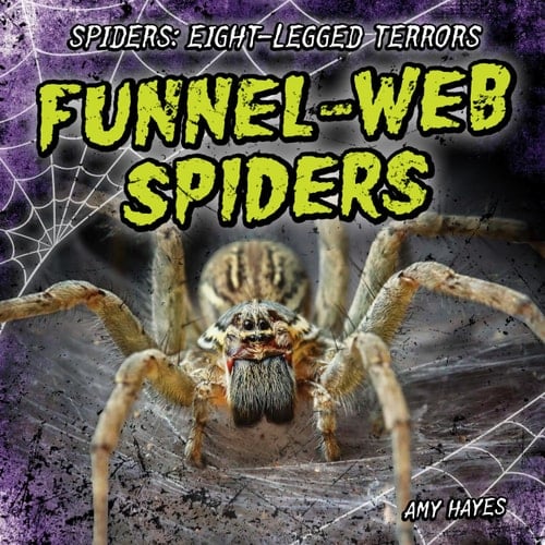 Funnel-Web Spiders